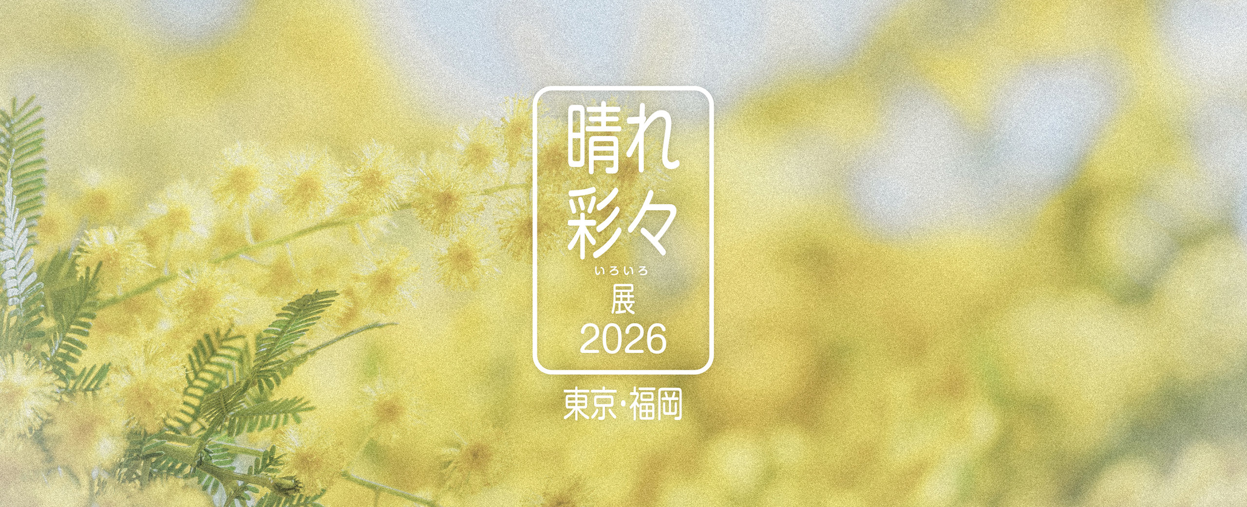 晴れ彩々展2026